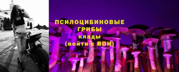 амф Аркадак