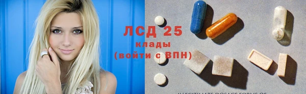 амф Аркадак