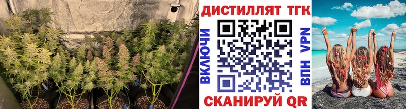 Дистиллят ТГК вейп МЕГА ссылки Любань цены наркотик